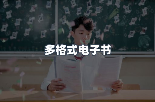 多格式电子书